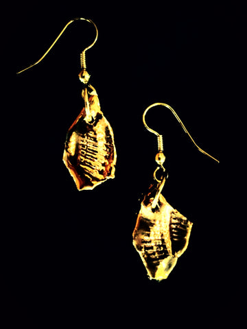 Earrings 22kt yellow gold overlay sea shell